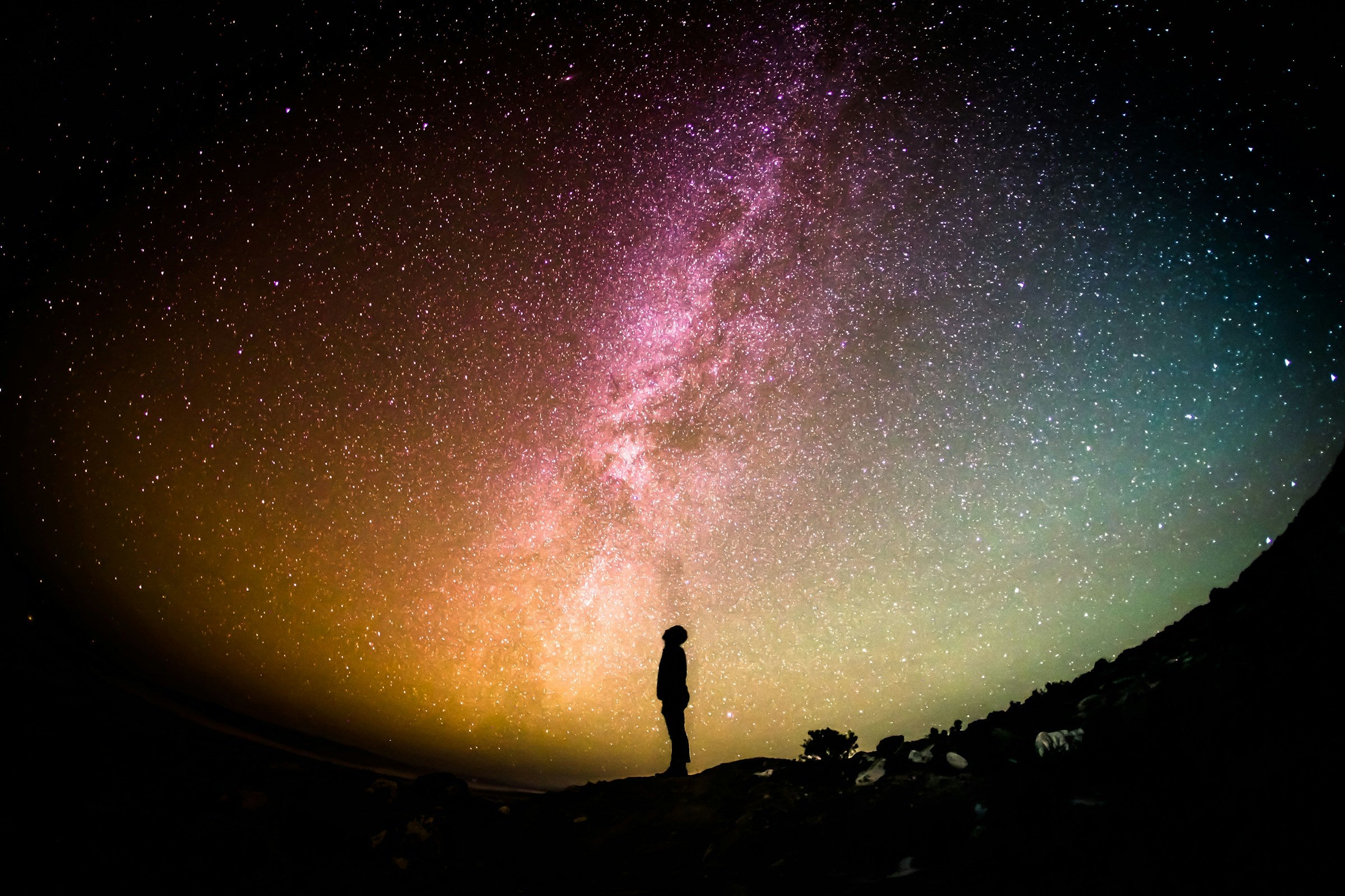 Night sky and botanicals for the hour before sleep